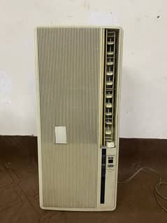 110v