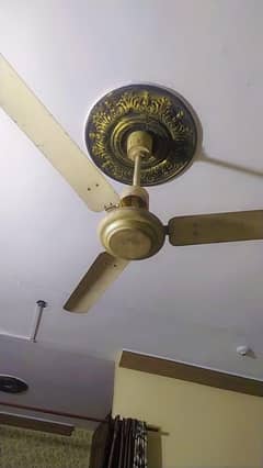 Royal Ceiling Fan