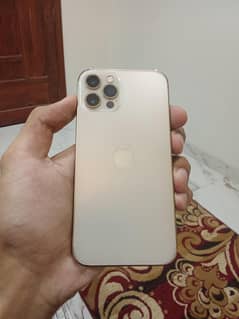 Iphone 12pro (Gold color)