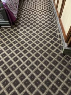 King Room carpet