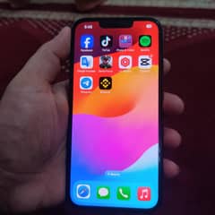 iphone 13 non pta green colour