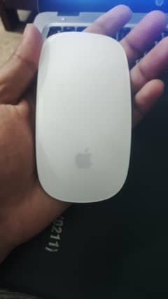 Apple original magic mouse 1