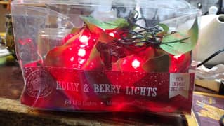 mercides car light