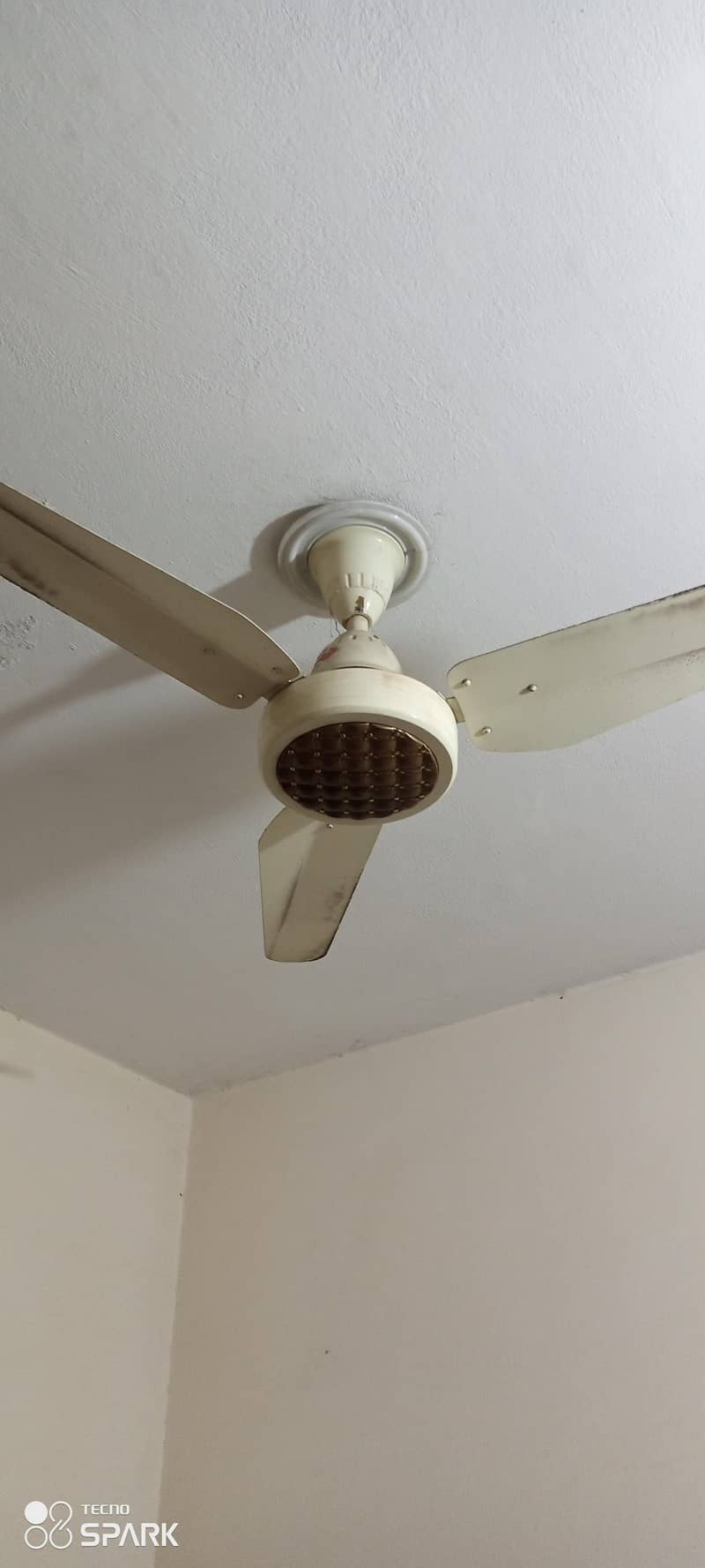 ceiling Fans 3