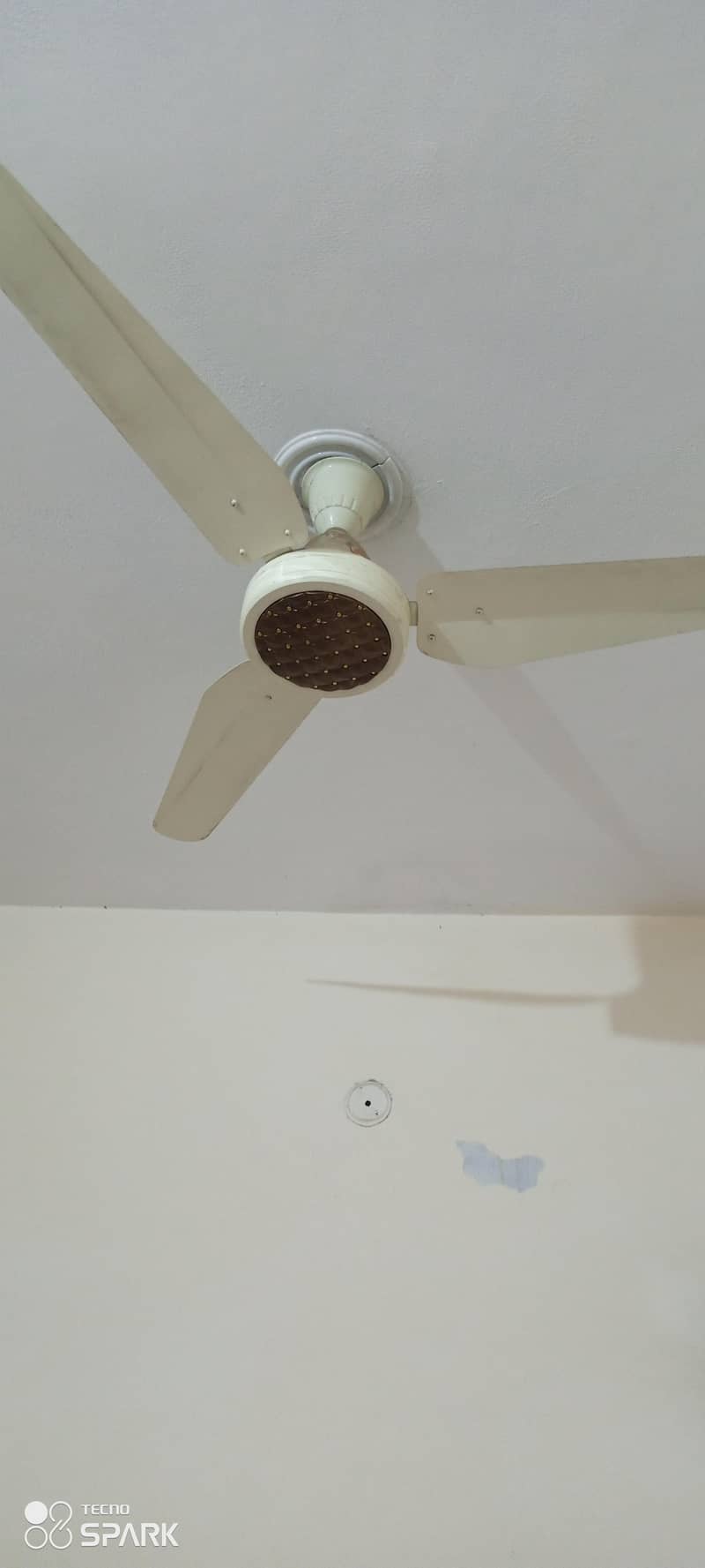 ceiling Fans 5