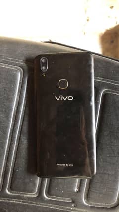 vivo