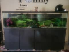 6Ft Aquarium For Sale