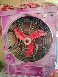 solar plate and cooler