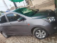 cultus 2019 VXl (03046105565