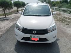 cultus vxr