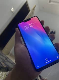 Vivo