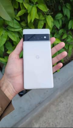 google pixel 6pro