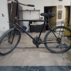 Road Bicycle 2 seater for adults