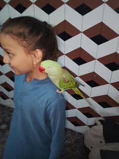 Talking