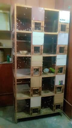 nice cage in good quality for sale in Lahore mazang adda