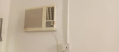 window
