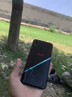 Vivo