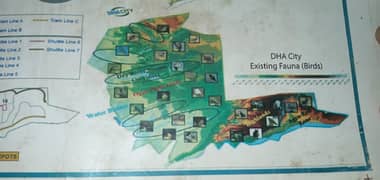 Plot File Of 125 Square Yards In DHA City Karachi For Sale