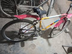 Cycle