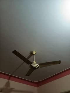 Pel