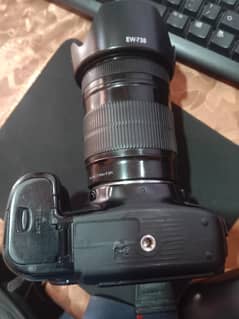 Canon
