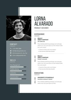 CV MAKER PROFESSIONAL/EU/UK/USA/SAUDIA/CANADA/PAKISTAN