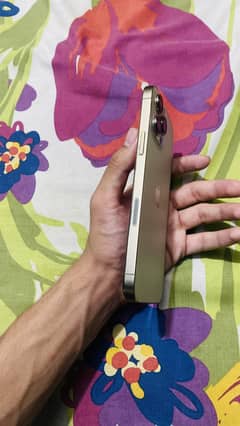 Iphone 13 pro max waterpack