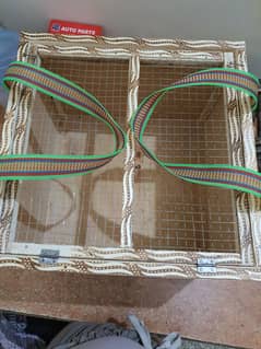 Cage Baby parrot