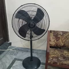 Pedestal Fan