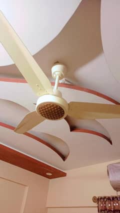 Pak Fan Available for Sell 4Fans