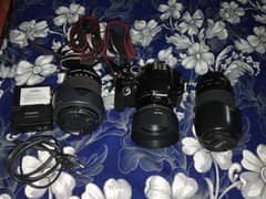 Canon 600d + 50mm Stm Lens + 18 135mm Stm Lens + 75 300mm Stm Lens