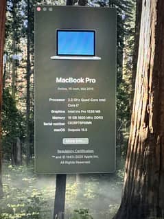 MacBook Pro 2015 | i7 2.2Ghz | 16GB Ram | 512GB NVMe | 15 inches Dis