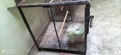 lohay k cage for sale hight 34" front 28" jorai 31"