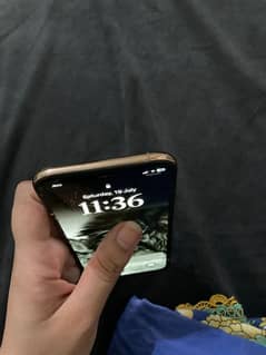Xs