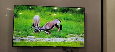led tv easy installment plan par hasil Karen