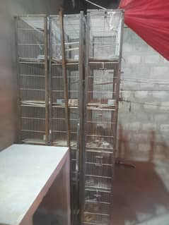CAGES