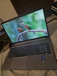 HP ZBOOK 19