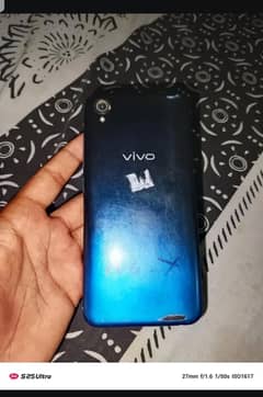 vivo