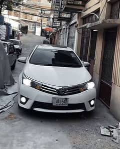 GRANDE 2017 OLD FACE