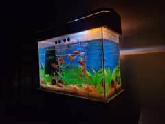 Aquarium
