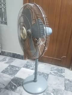 PakFan Pedestal Fans 24iinch