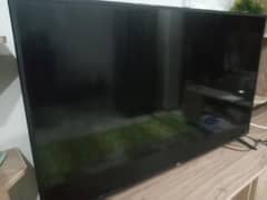 Haier Tv
