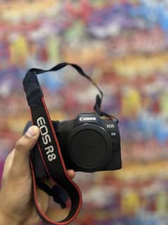 Canon R8 body only (Imported unit) like New