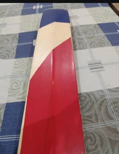 cricket baat with cricketer signature