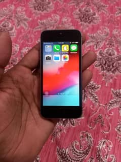 iPhone 5s non p. t. a 16 Gb no open repair all jenion 10/10 03099547046