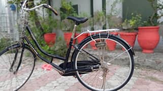 Falcon cycle