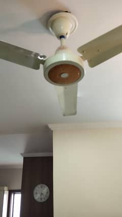 4 Ceiling Fans in Perfect condition