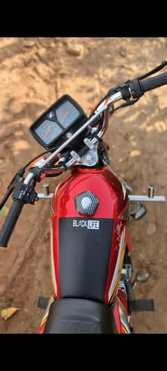 honda 125 2024 /25