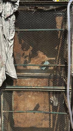 Tower cage 15-20ft for sale