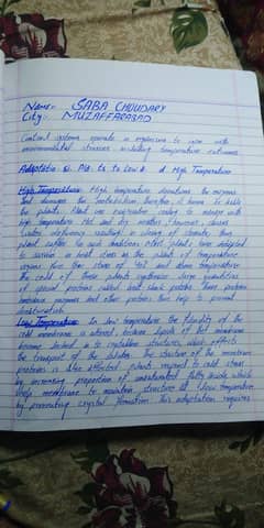 assignment work b